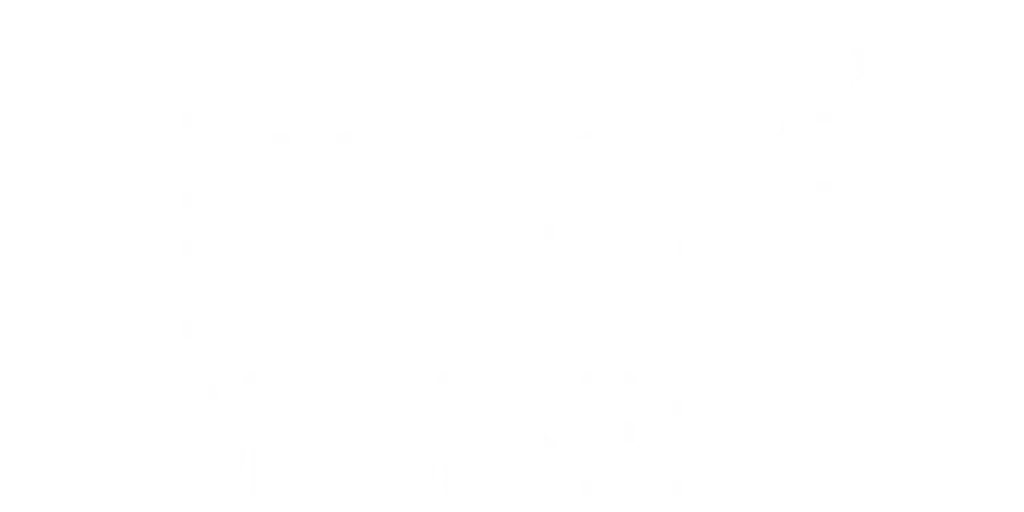 FSB logo white