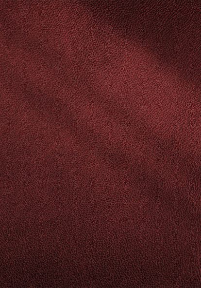 Red leather texture background